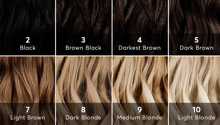 Reed Hair Color Chart