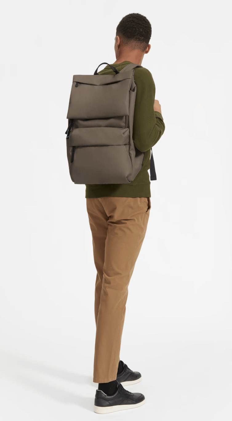  everlane backpack
