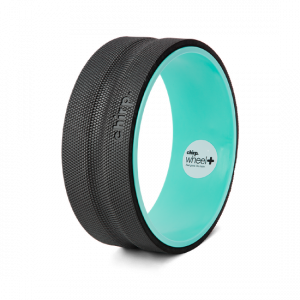 chirp wheel review