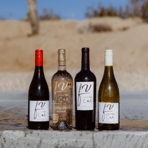 Fresh Vine Wine Review | Brand Rated